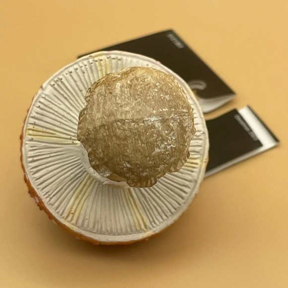 Amanita Toadstool Ornament, NWT 🍄 - Picture 5 of 6